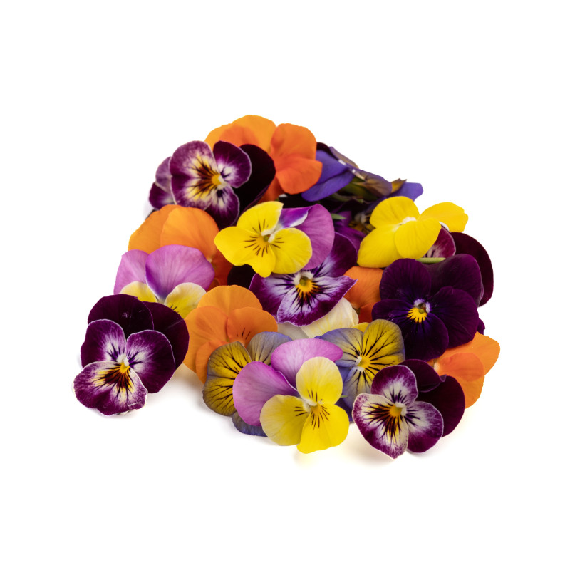 FLEUR COMESTIBLE MIXTE RAVIER